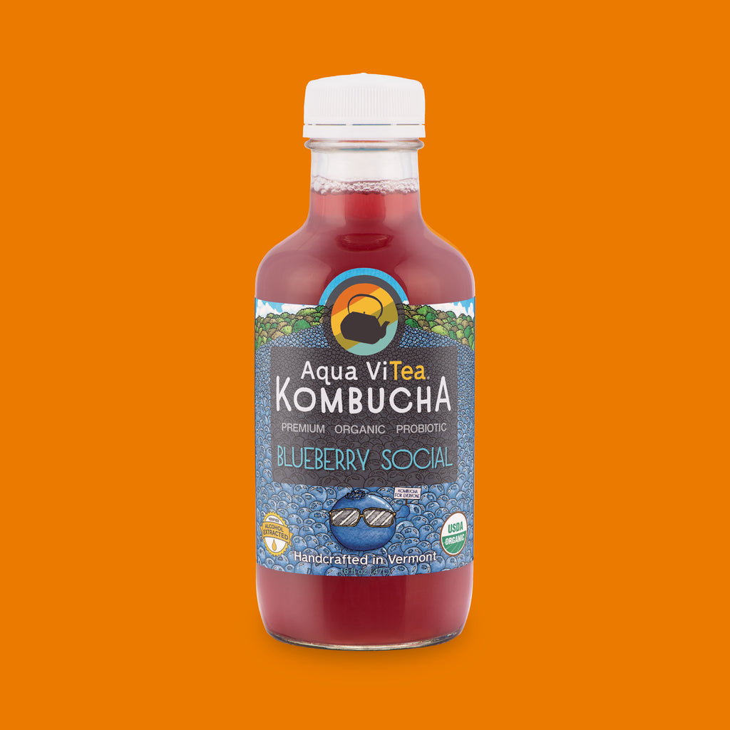 Blueberry social kombucha bottle on an orange background